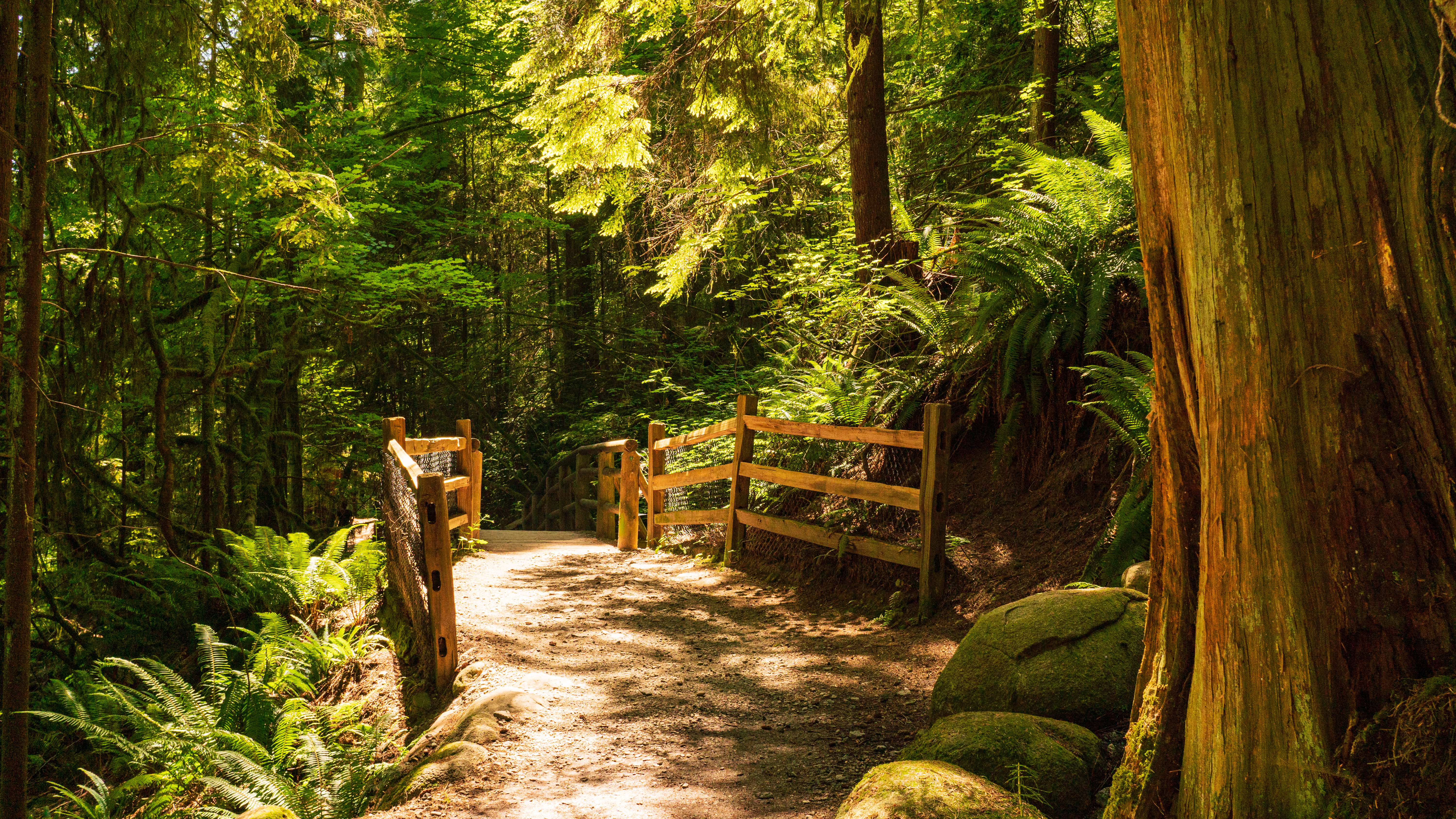 Hike