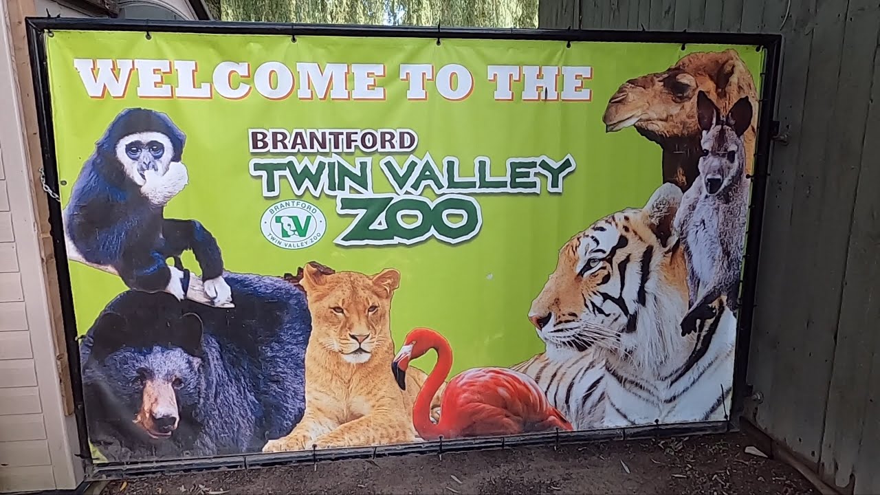 Zoo