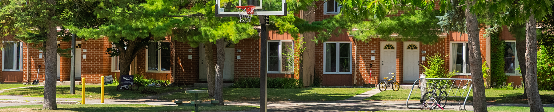 Courtyard with basket net and bike rack